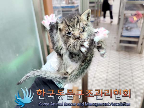 한국동물구조관리협회_411323202300421